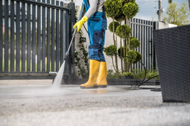 Best Driveway Pressure Washing  in Hollidaysburg, PA